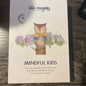 Mindful Owl Learning Toy